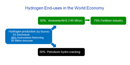 Hydrogen End-uses in the World Economy